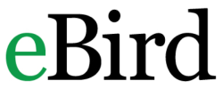 ebird-logo